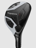 Quantum Max Fast Hybrid