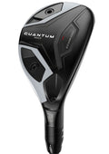Quantum Max Hybrid