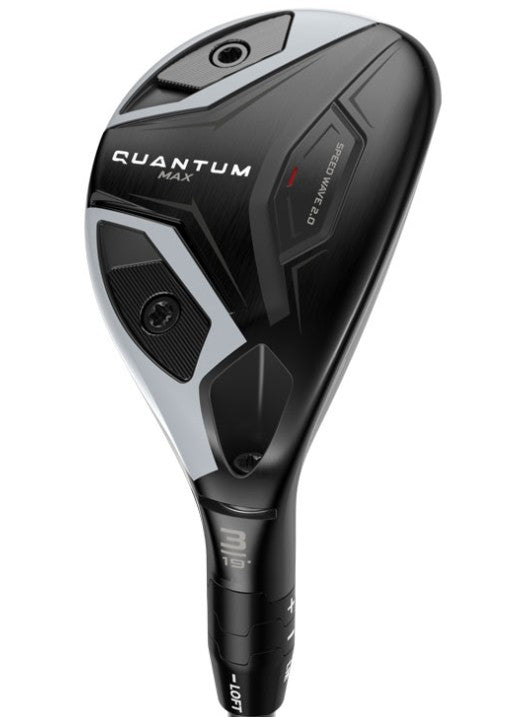 Quantum Max Hybrid